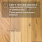 DW FLOORING 12 мм Дуб светлый кремовый DW CDL 069 лак матовый с фаской (миниатюра фото 5)