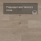 QS Second choice Alpha BLOS  SPE40322 - AVSPU 40322 Дуб береговой песчаный (миниатюра фото 4)