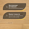 DW FLOORING 13 мм Дуб бежевый DW 12-10 лак матовый с фаской (миниатюра фото 4)