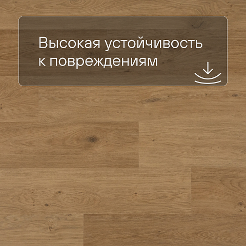 QS Alpha Vinyl BLOS планка AVSPU 40320 Дуб береговой медовый (фото 5)