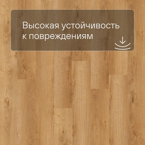 QS SPC Atmosphere ASPC 20252 Дуб осенний (фото 5)