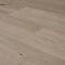 QS Second choice Alpha BLOS  SPE40322 - AVSPU 40322 Дуб береговой песчаный (миниатюра фото 7)
