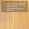 DW FLOORING 12 мм Дуб светлый бежевый DW CDL 070 лак матовый с фаской (миниатюра фото 5)