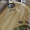 Tulesna Art Parquet SPC (RUS) 1005-12AB-R Chats 4V (миниатюра фото 2)